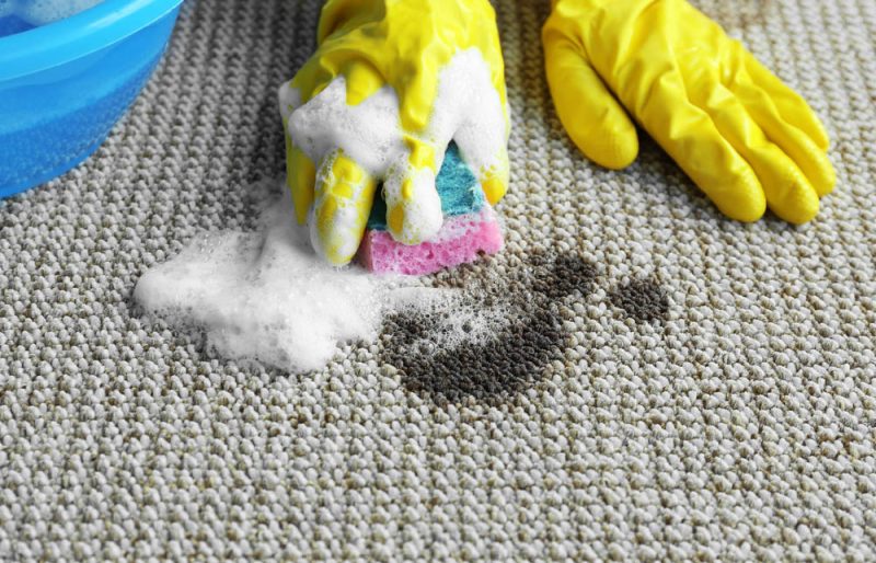 Specialty Stain Removal Services Near Me_Veterans Carpet Cleaners LLC_(850) 999 7006_Milton FL